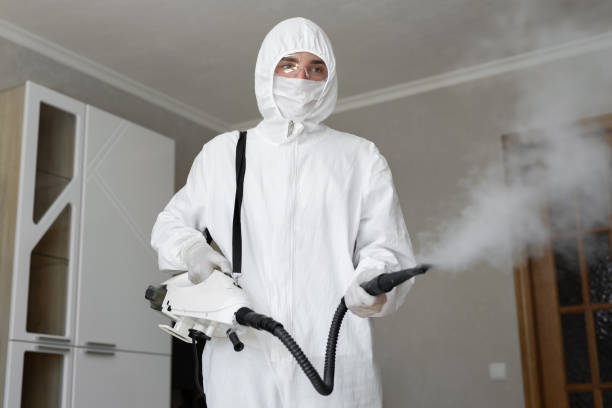 Best Industrial Mold Remediation  in Aiken, SC