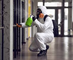 Best Commercial Mold Inspection  in Aiken, SC